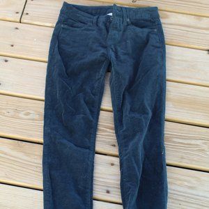 Stylus Corduroy Pants